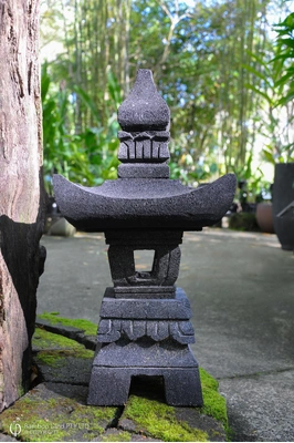 Large View