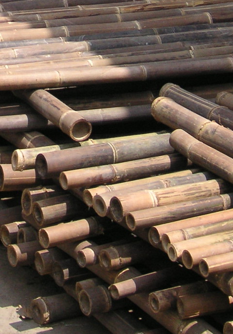Harvested bamboo timber