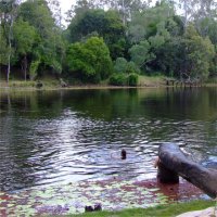 River swimming