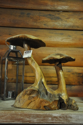 Teak mushroom - Double - Large
