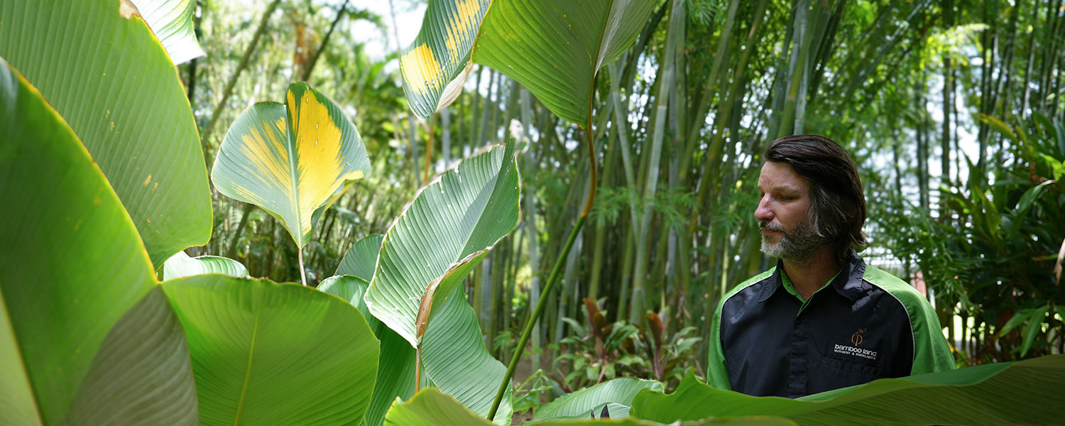 Sitting Elephant Water Feature