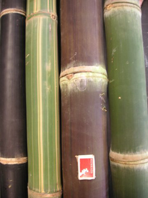Bamboo timber poles