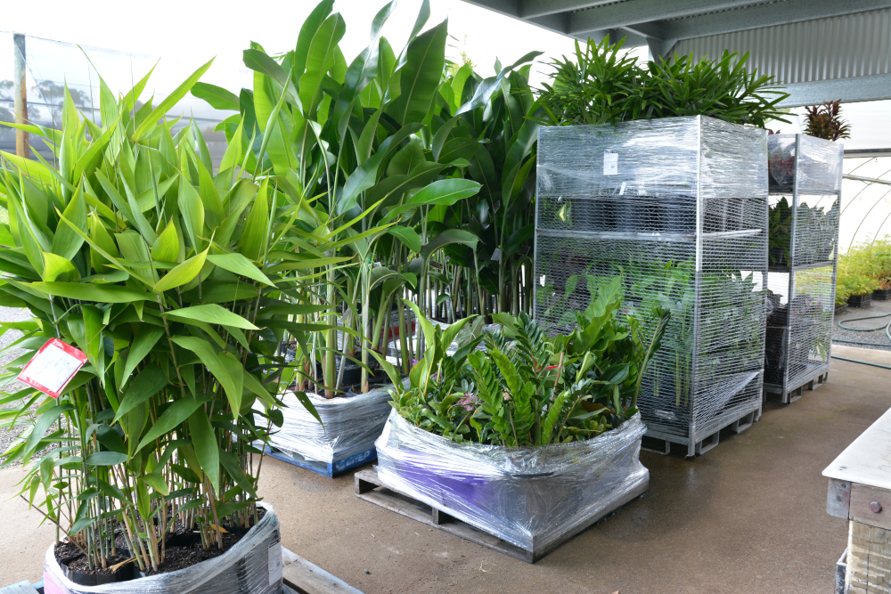 Bamboo orders ready for loading onto trucks.