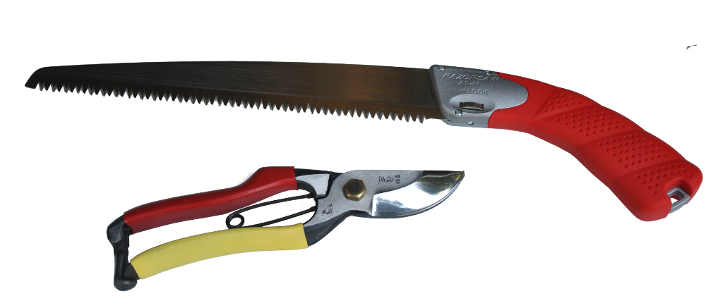 Japanese secateurs and pruning saw