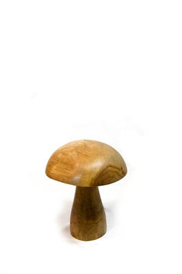Teak mushrooms - Small 20cm