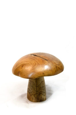 Teak mushrooms - Medium 25cm