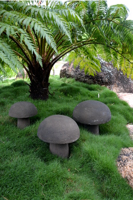 Stone mushrooms (Set of 3)