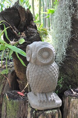 Stone Owl - 50cm