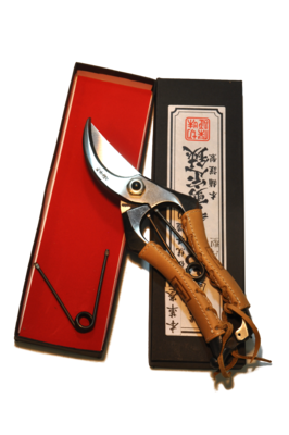 Secateurs - 200mm Premium Secateurs A Type