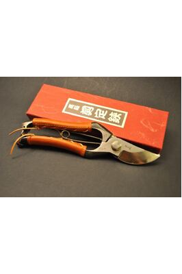 Secateurs - 200mm Hand Type -  SF -Type 