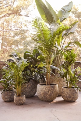 Mega Belly Pot - Atlantic Green