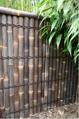 Bamboo panel - Black