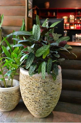 Stacked stone pot - Sand stone - H82 x W67cm