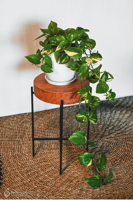 Round pot stand - Teak - 50cm