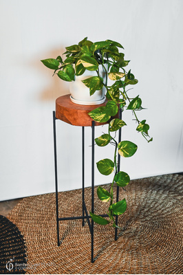 Round pot stand - Teak - 80cm