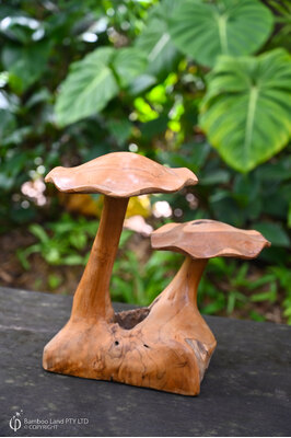 Teak mushroom - Double - Large