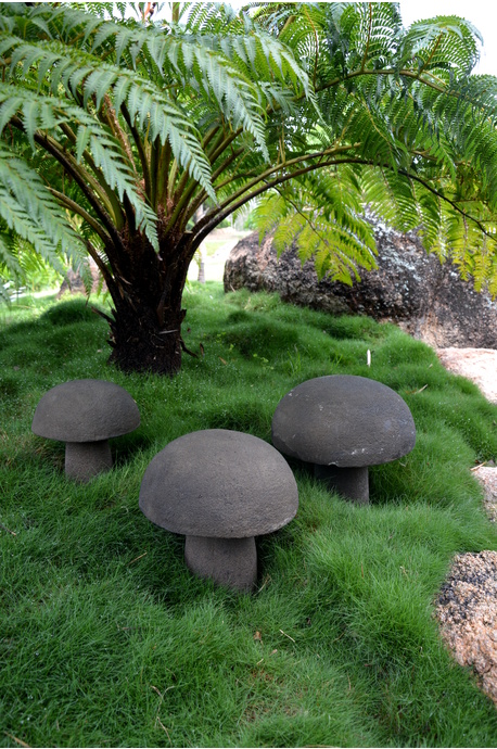 Stone mushrooms (Set of 3) - Green