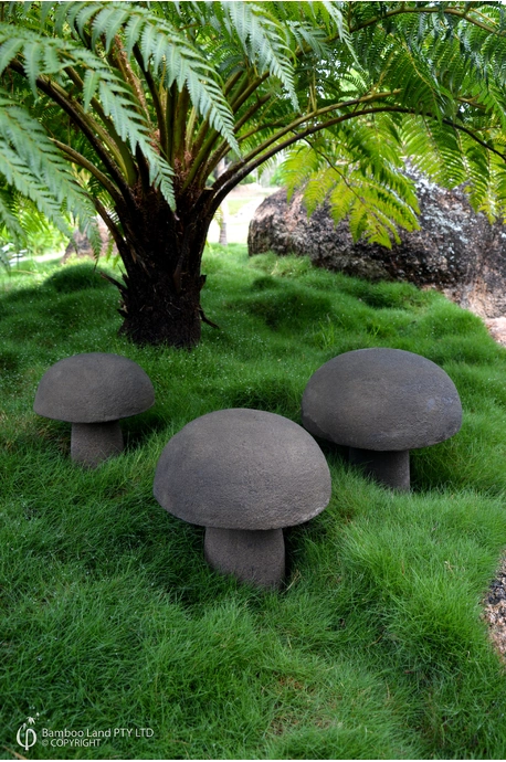 Stone mushrooms (Set of 3)