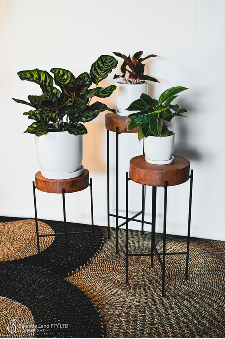 Jessa Egg Pot - White