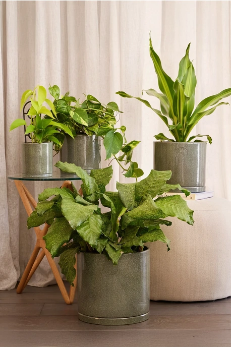 Stipple Cylinder Pot - Set of 4 - Green