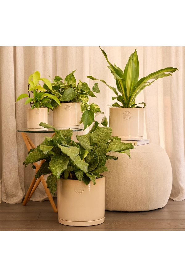 Stipple Cylinder Pot - Set of 4 - Natural