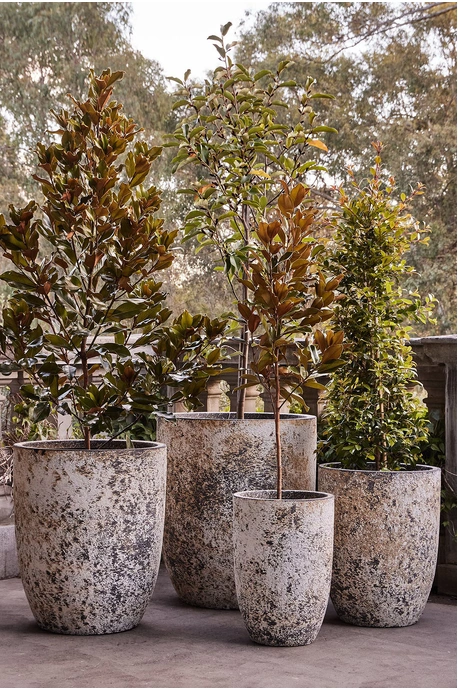 Chambers U Pot - Atlantic White - Set of 4