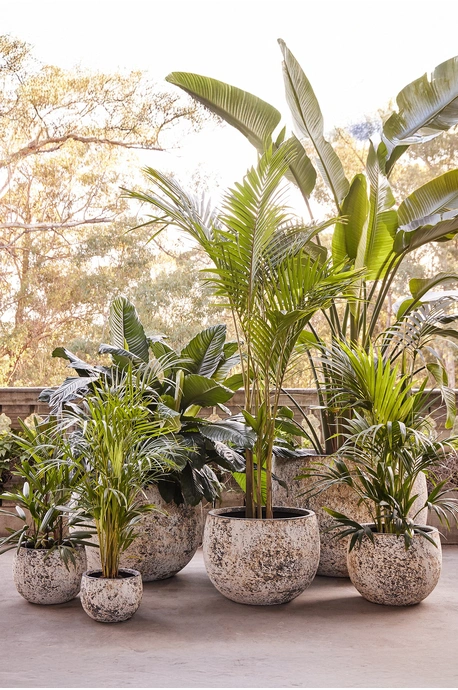 Mega Belly Pot - Atlantic White - Extra Large