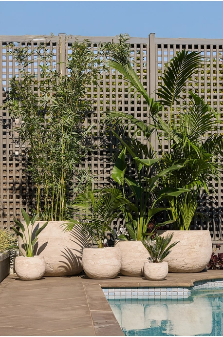 Mega Belly Pot - White Pietra