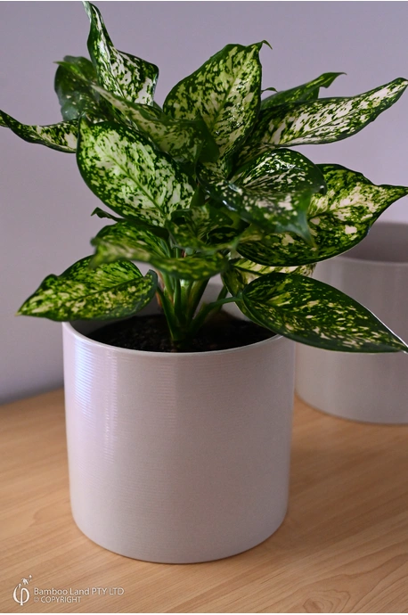 Scheurich Pot - Sesame