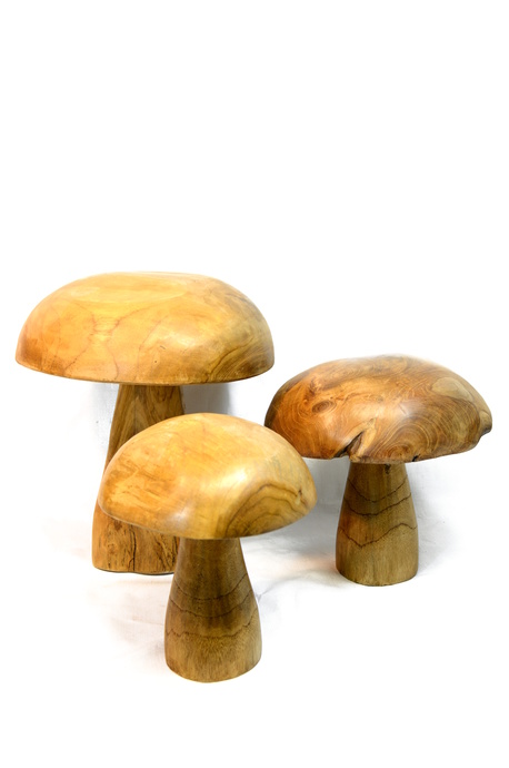 Teak mushrooms - Large 30cm