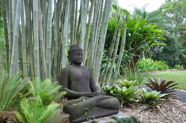 Using bamboo in landscaping