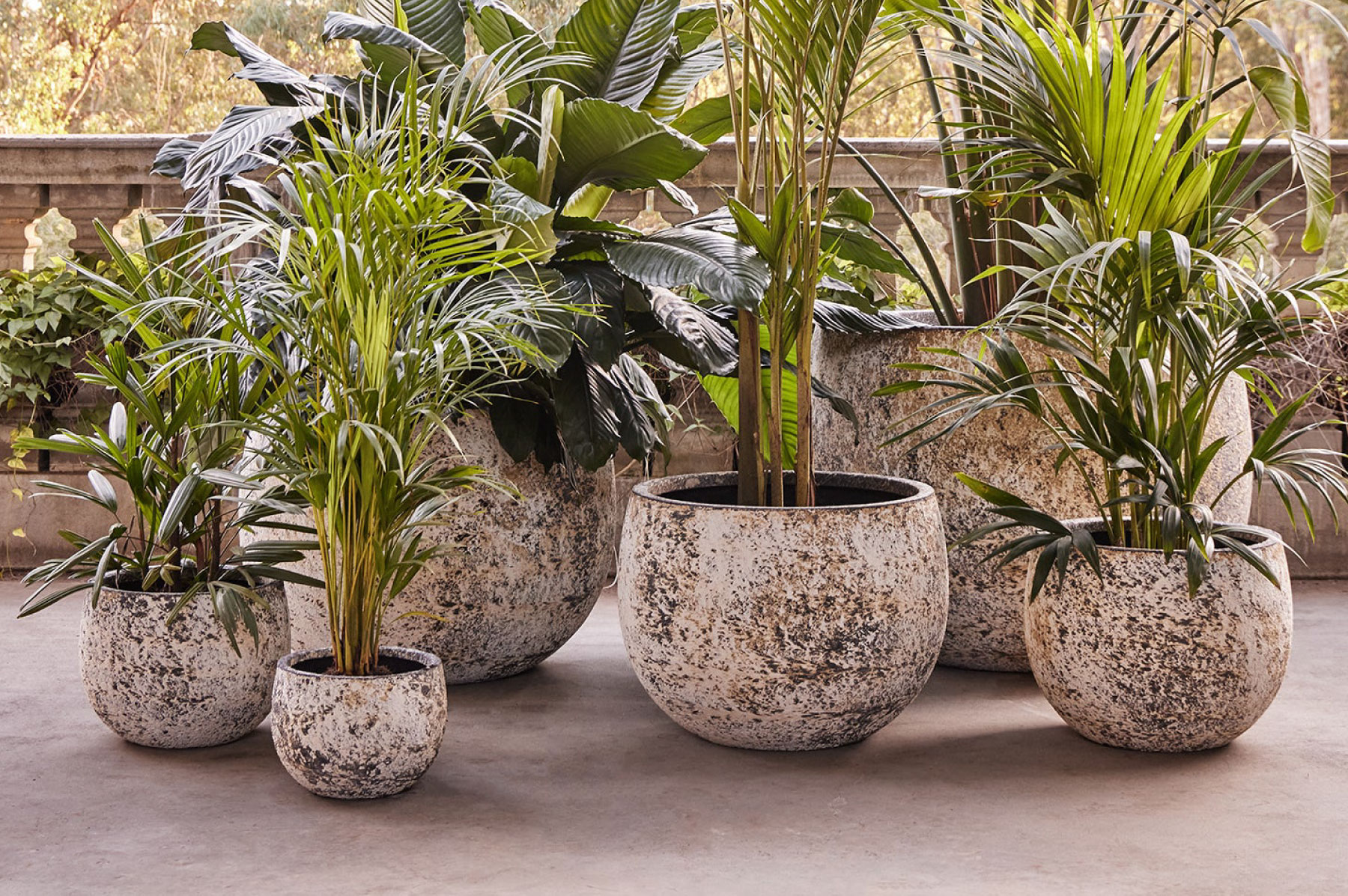 Creating a statement in the garden with giant pots